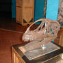 Jobaria Skelly Skully 2