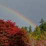 Rainbow in Autumn