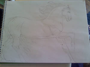 Stallion line art rough copy