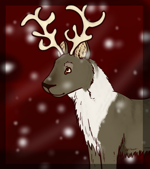 Reindeer