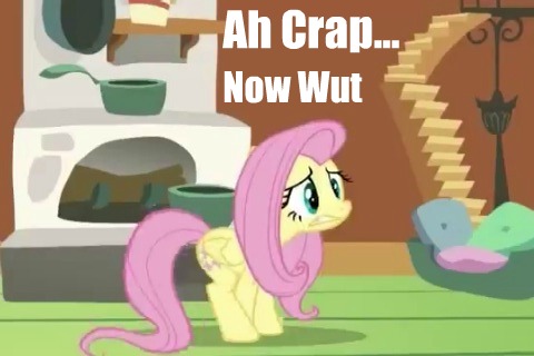 Fluttershy Now What