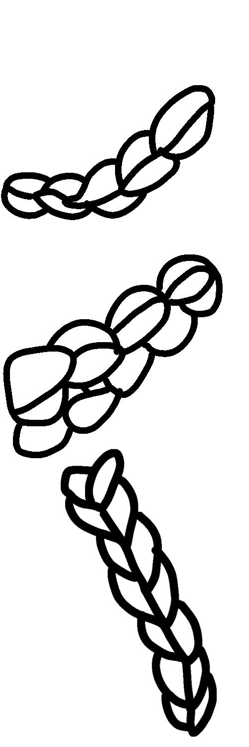 Braided Hair String Base 4 by Derincik on DeviantArt