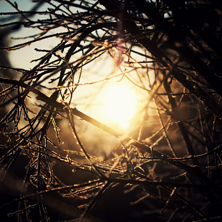 frozen sun