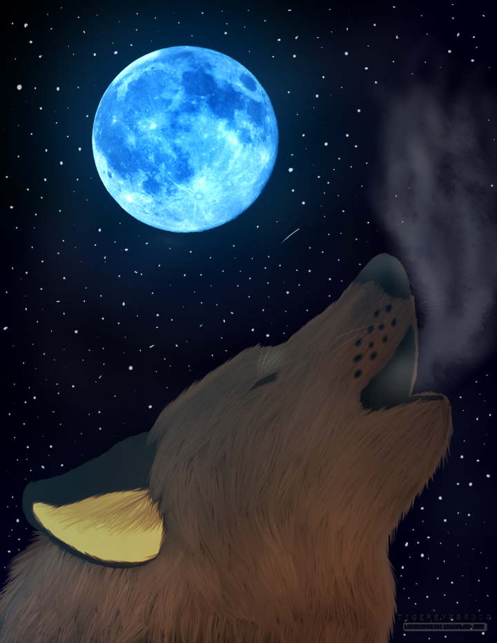 Howling At The Moon