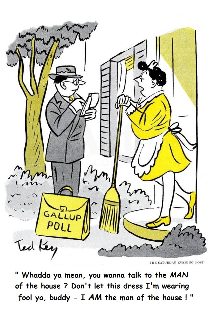TG-Hazel-pollster-cartoon u-l-q1qg7xy0