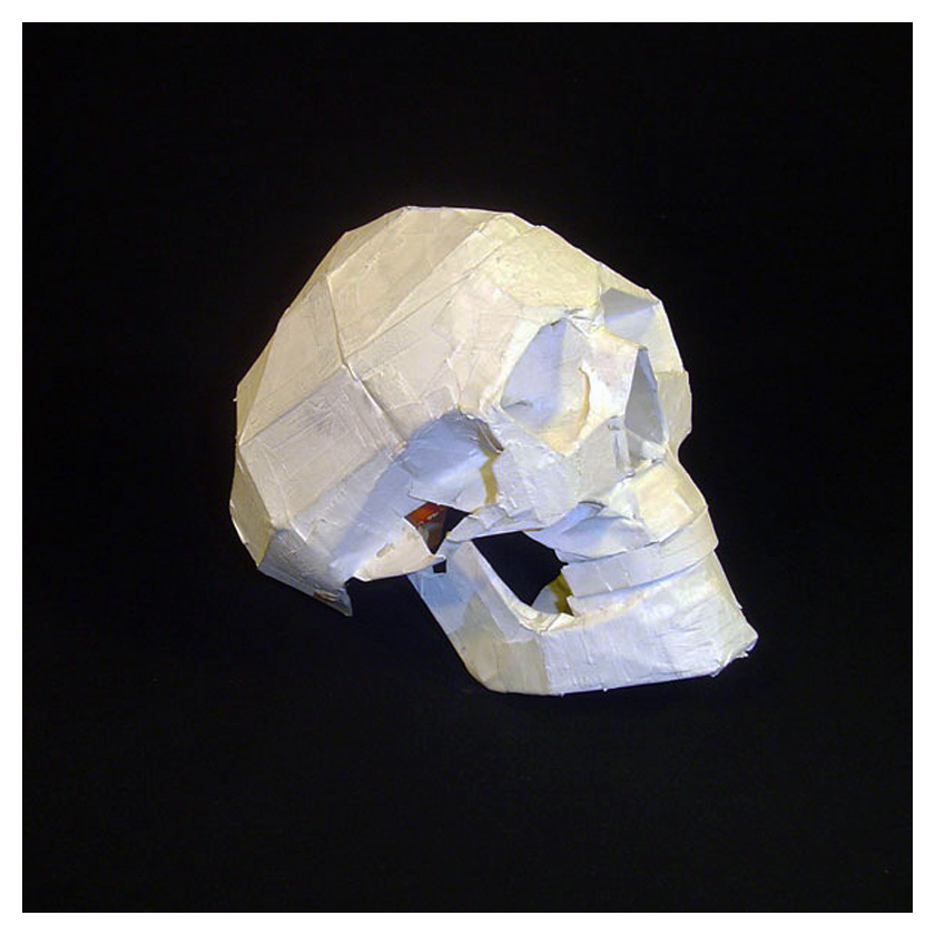 Skull Model