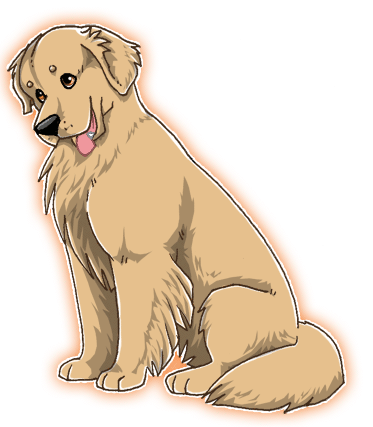 Golden retriever for FP