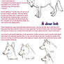 Wolf tutorial, take 2