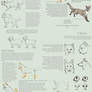Cats vs Dogs