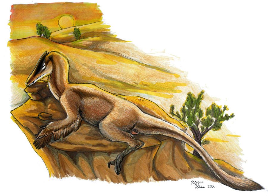 Sunbathing raptor by novablue on DeviantArt