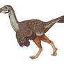 Caudipteryx