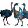 Four buddies
