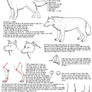 Wolf tutorial