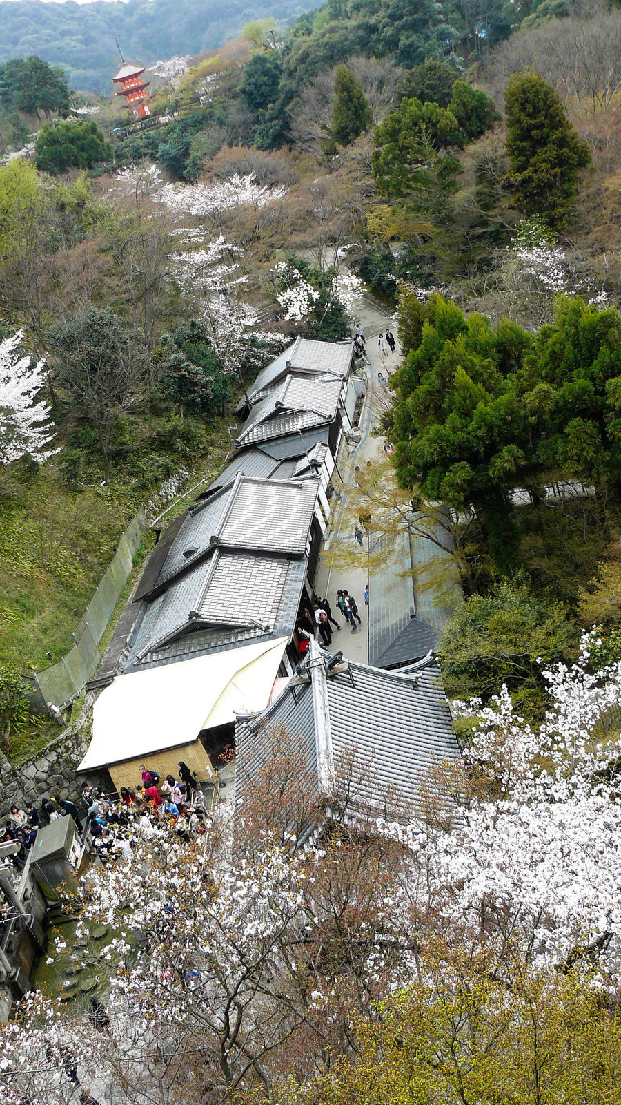 Kiyomizu-dera 16