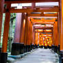 Torii 14