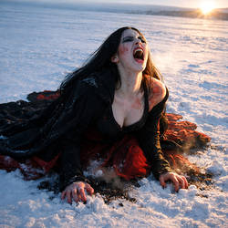 The Sun's Bitter Kiss