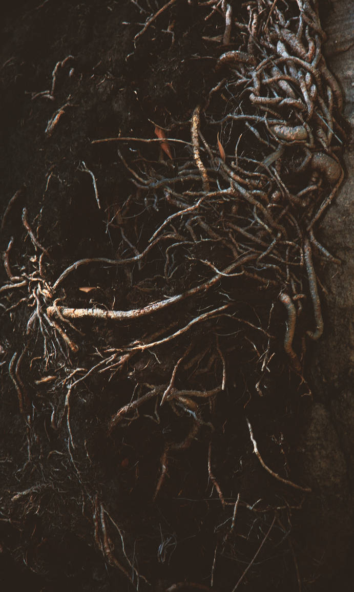 Earthy Roots by nightbloom95 on DeviantArt
