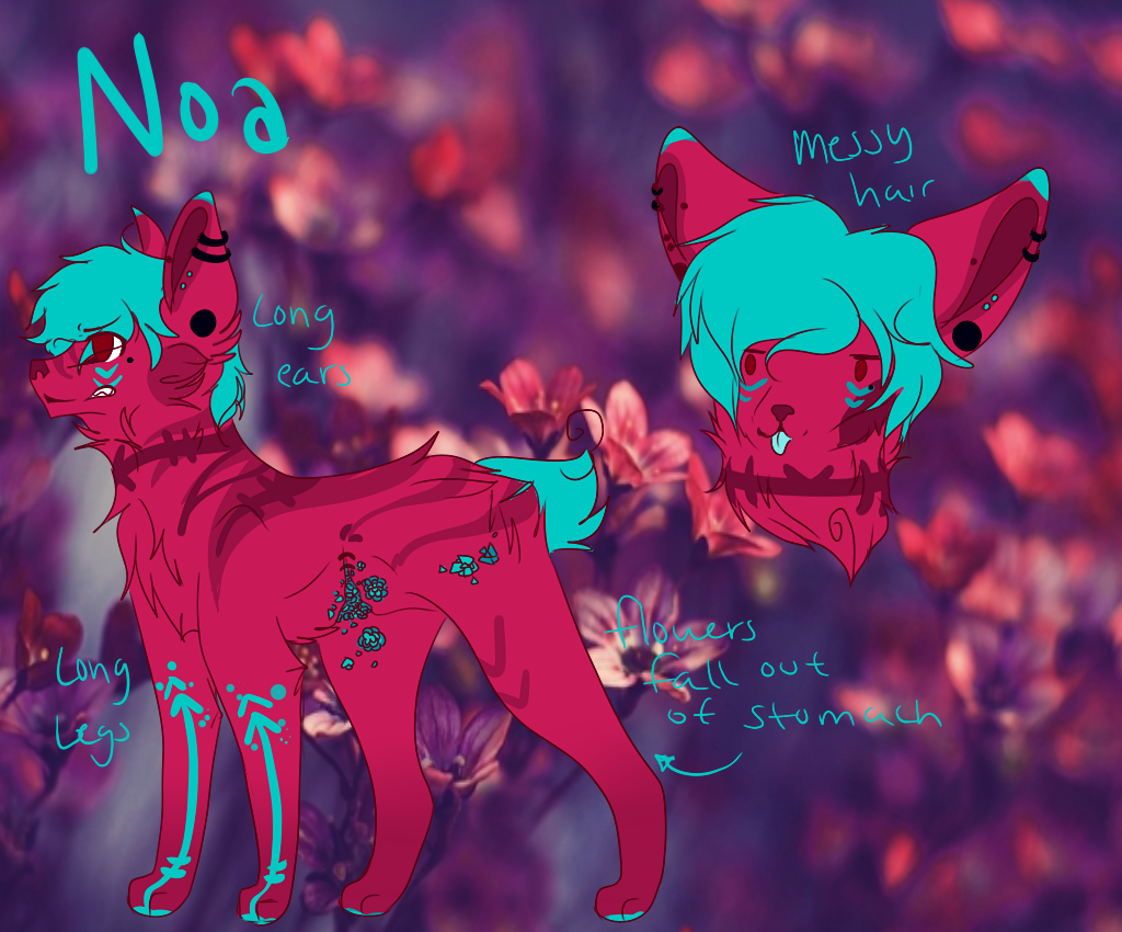 Noa Ref