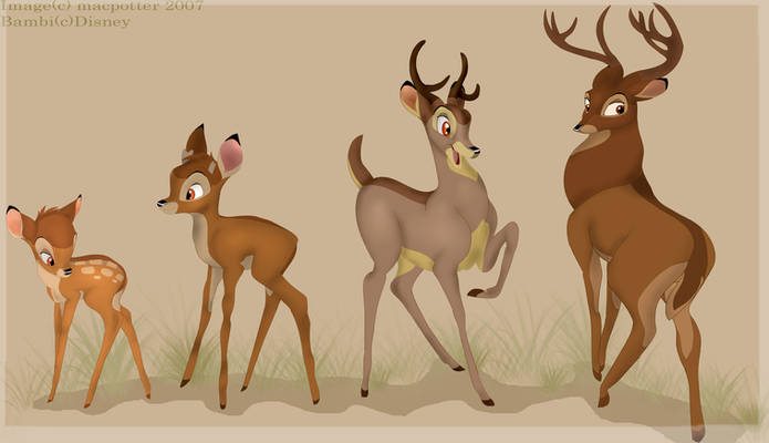 A deer's development