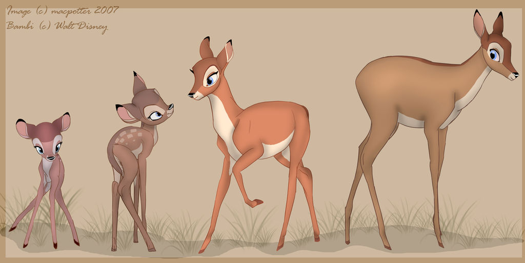 From fawn to doe