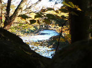 Watching the River