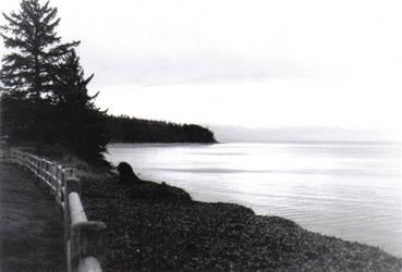 Along The Whidbey Island Coast