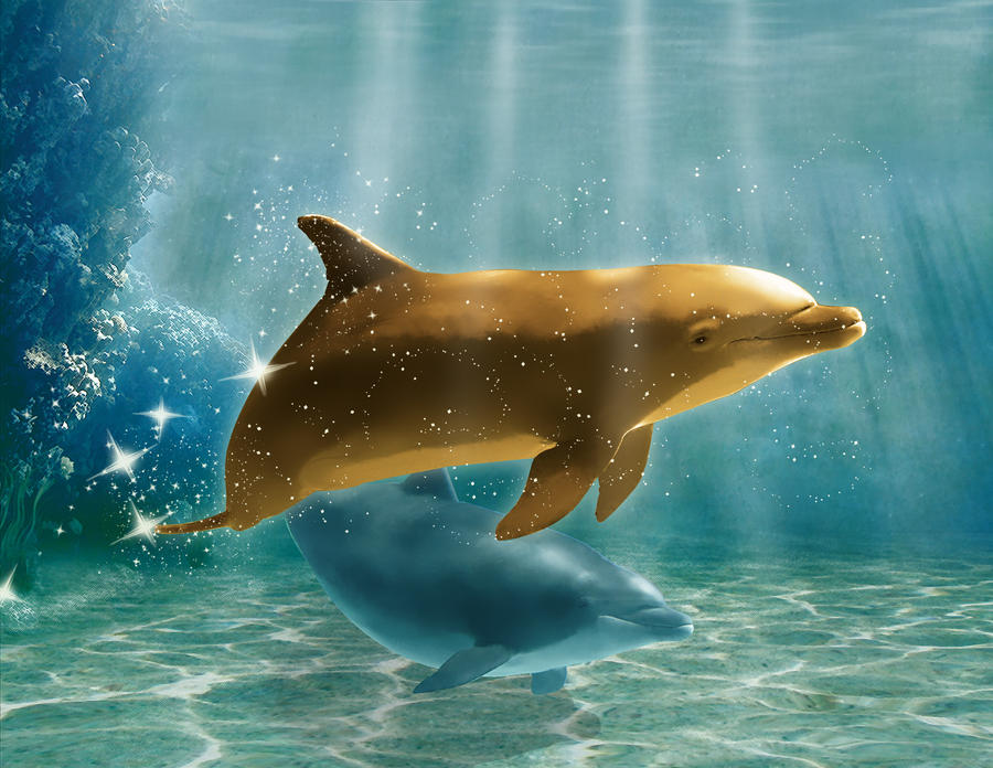 Shiny Dolphin