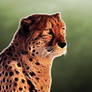 Fractalius Cheetah