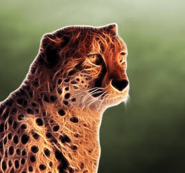 Fractalius Cheetah
