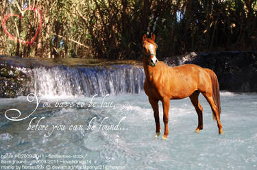 Horse in water manip