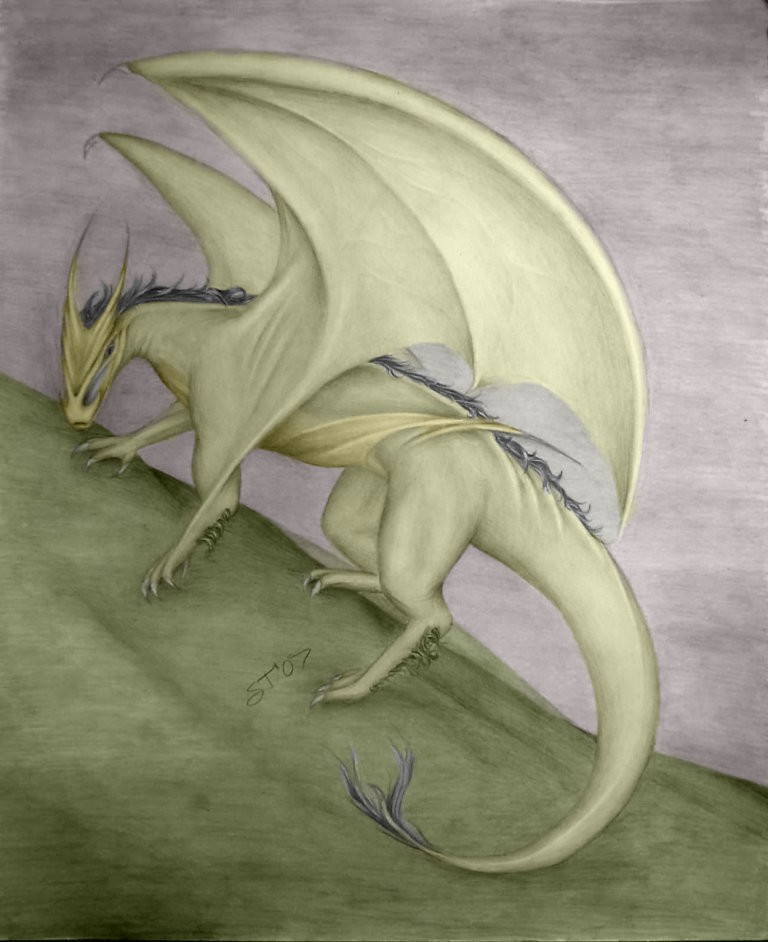 My Dragon Colorfied