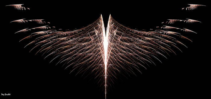 Wings