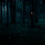 Slender Man Cometh