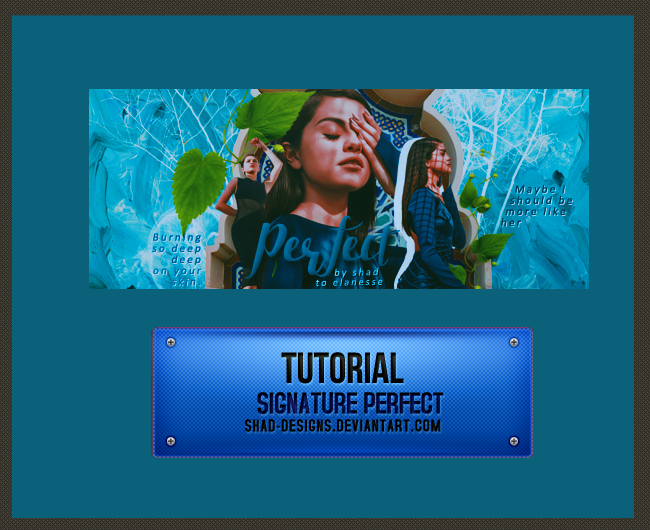 Tutorial Signature Perfect