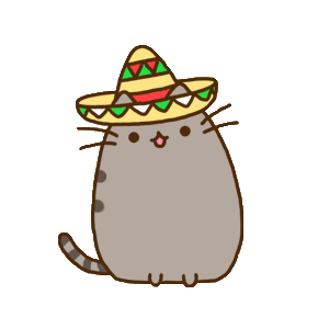 Mexican cat ajuuua