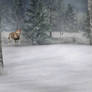 Winter Background 1