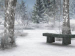 Winter Background 2 by BlackStock
