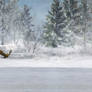 Winter Background 3