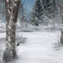 Winter Background 4
