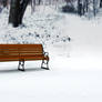 Winter Background 6