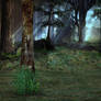 Forest Background 2