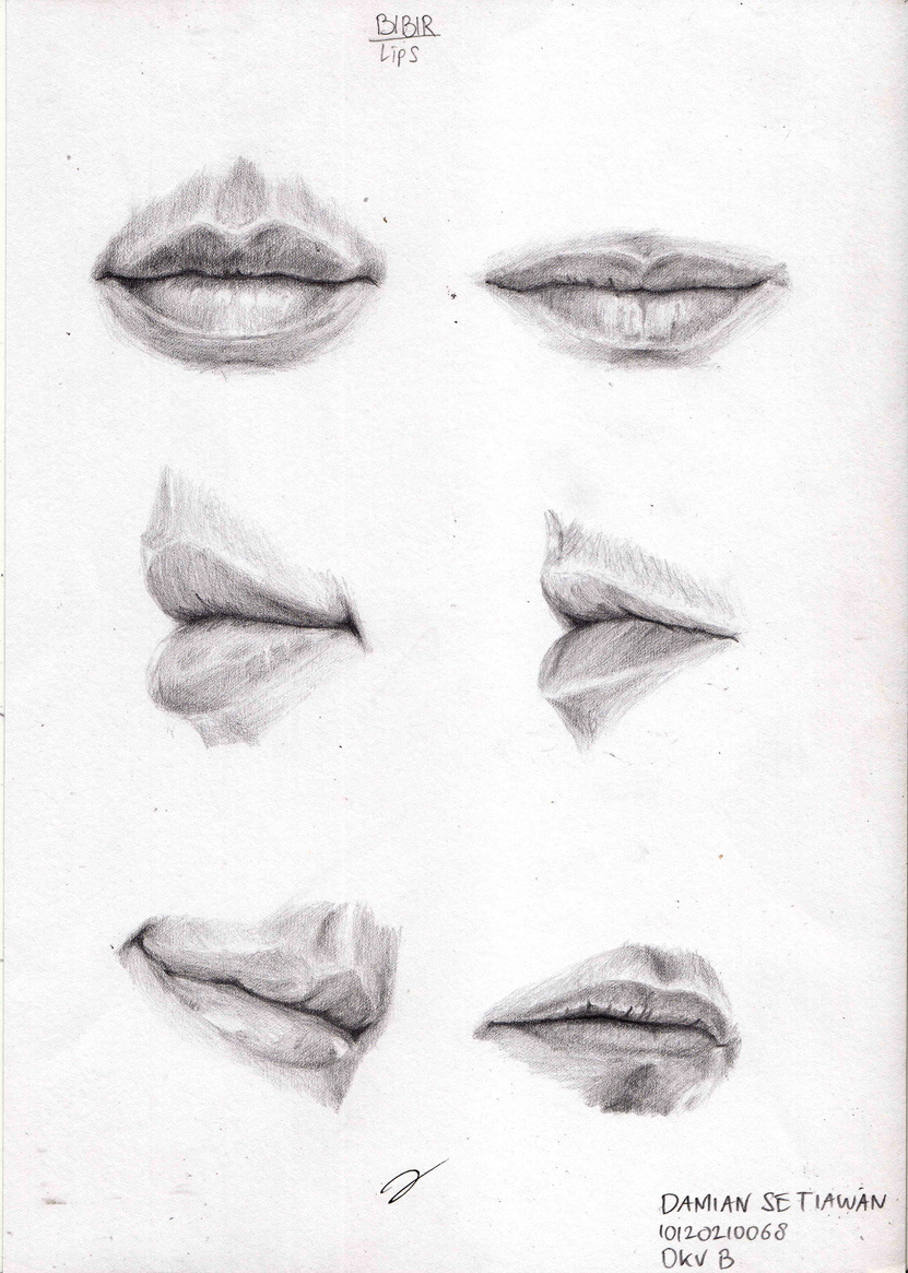 Lips Study by Damnjazu on DeviantArt