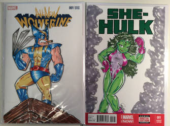 Two sketch covers