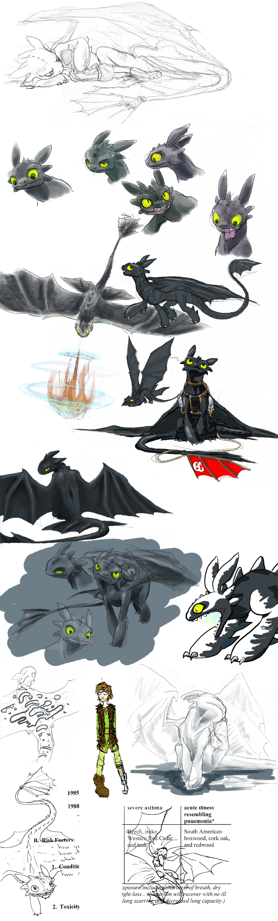 HtTYD dump - SPOILERS