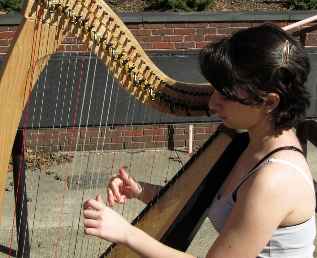 The Harpist 5