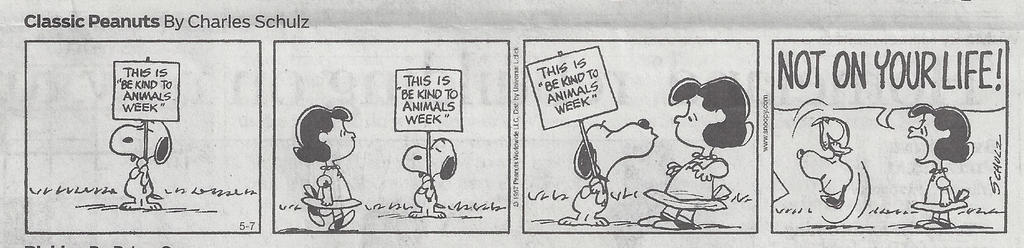 Peanuts May 1967 Be Kind To Animals Week strip #2