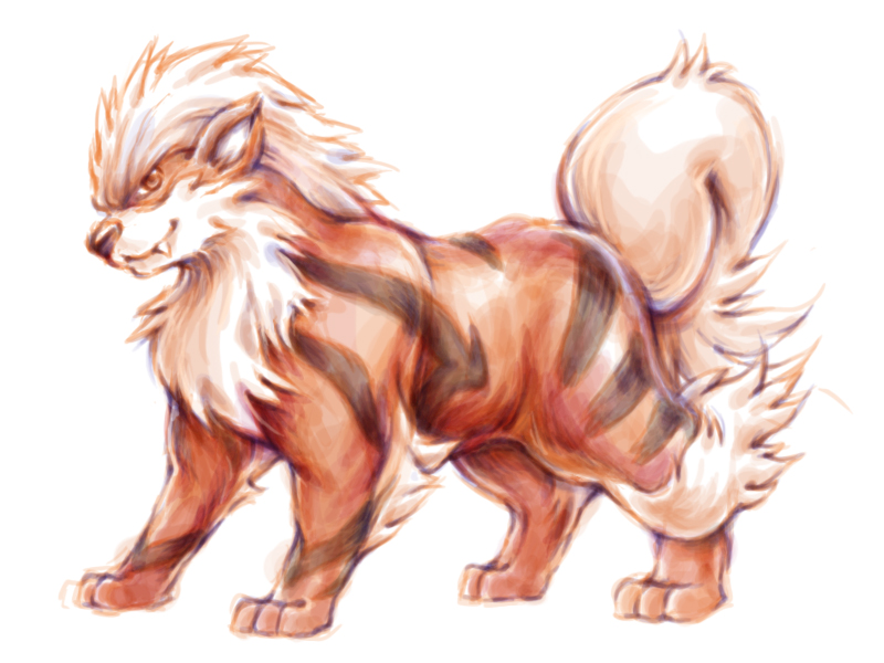 PokeDrawing - Arcanine