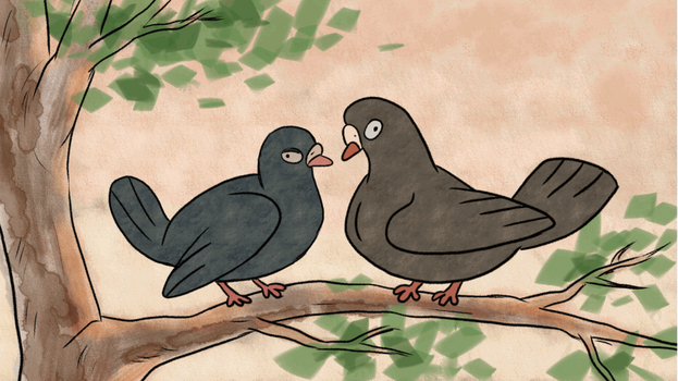Sweet pigeons - animation