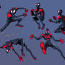 Spider poses