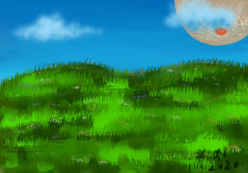 Landscape Practice